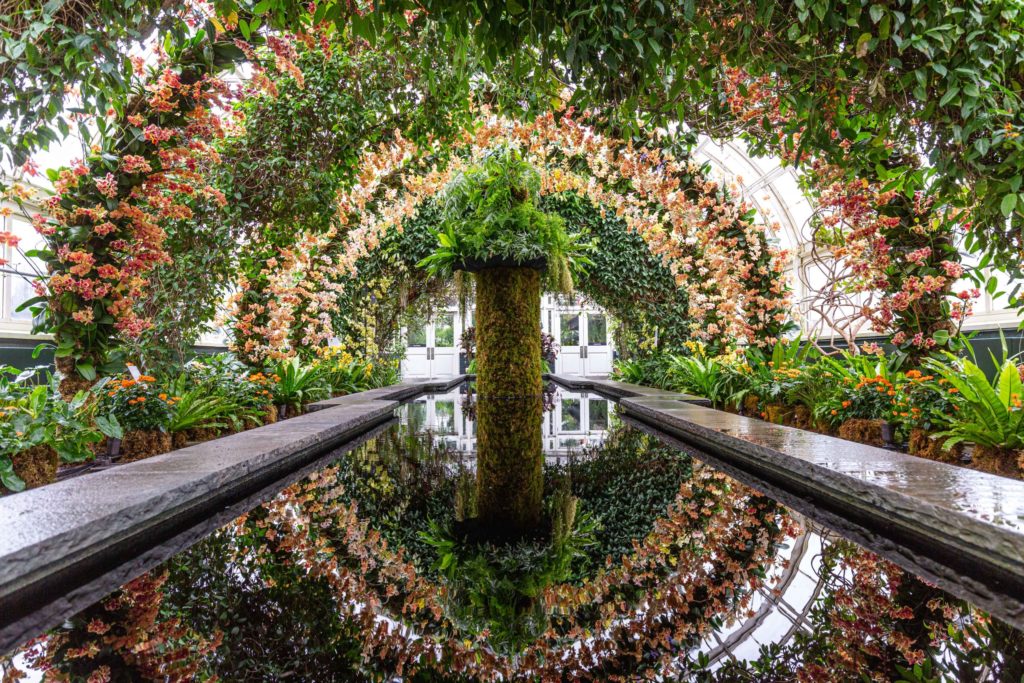 Inside New York Botanical Garden's Orchid Show With Jeff Leatham