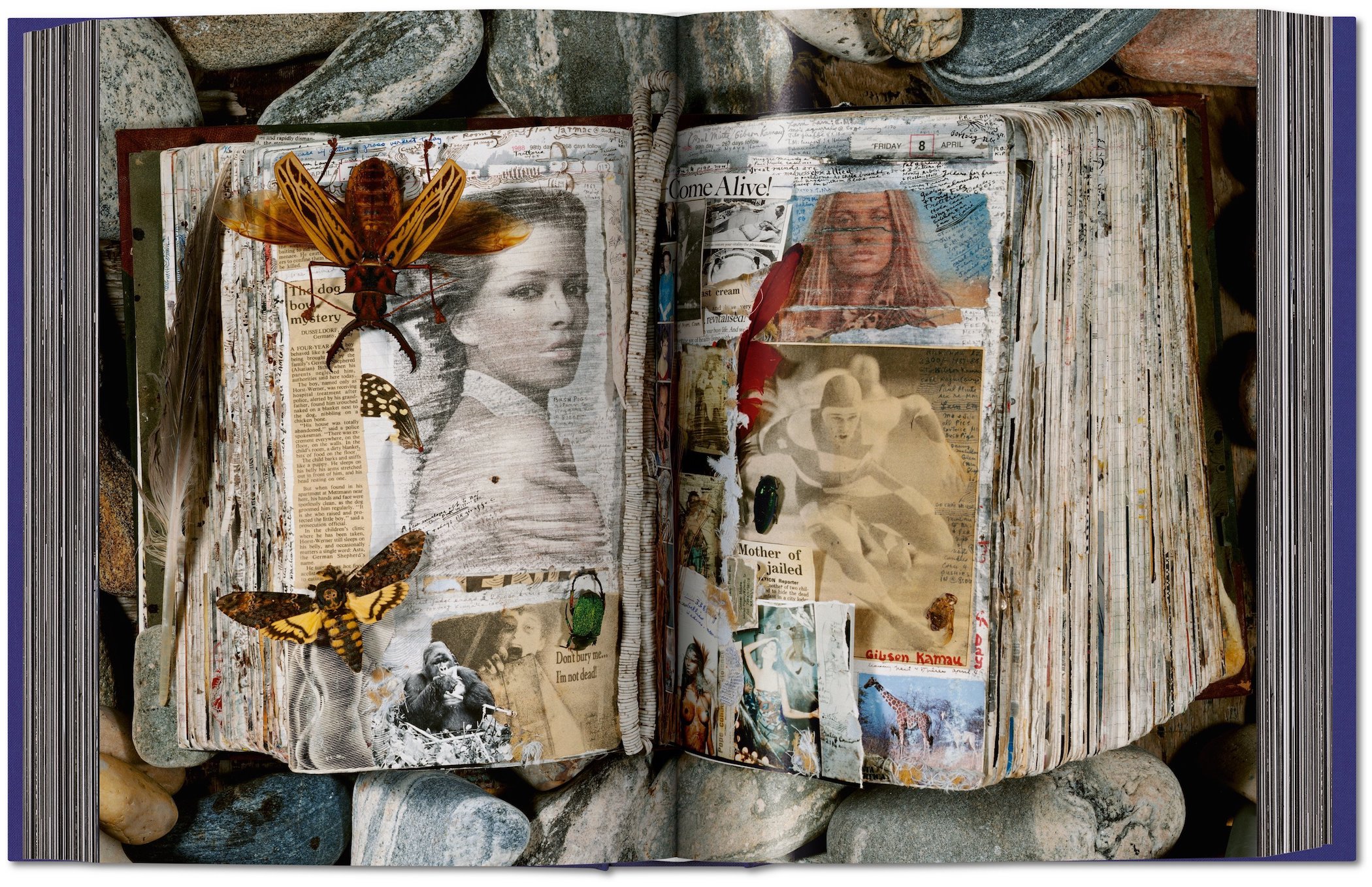 【定番在庫】d) Peter Beard: Diary アート写真